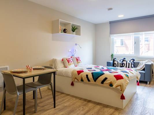 Platinum Studio room type